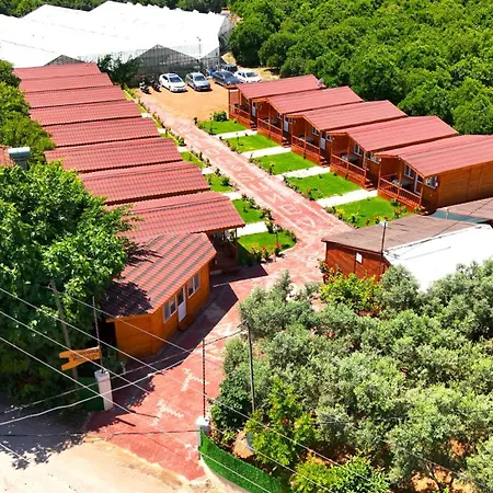 Campsite Venues Gold Adrasan Kumluca