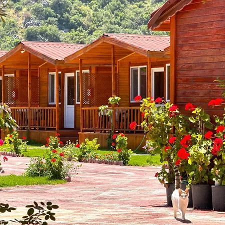 Venüs Gold Adrasan Camping *